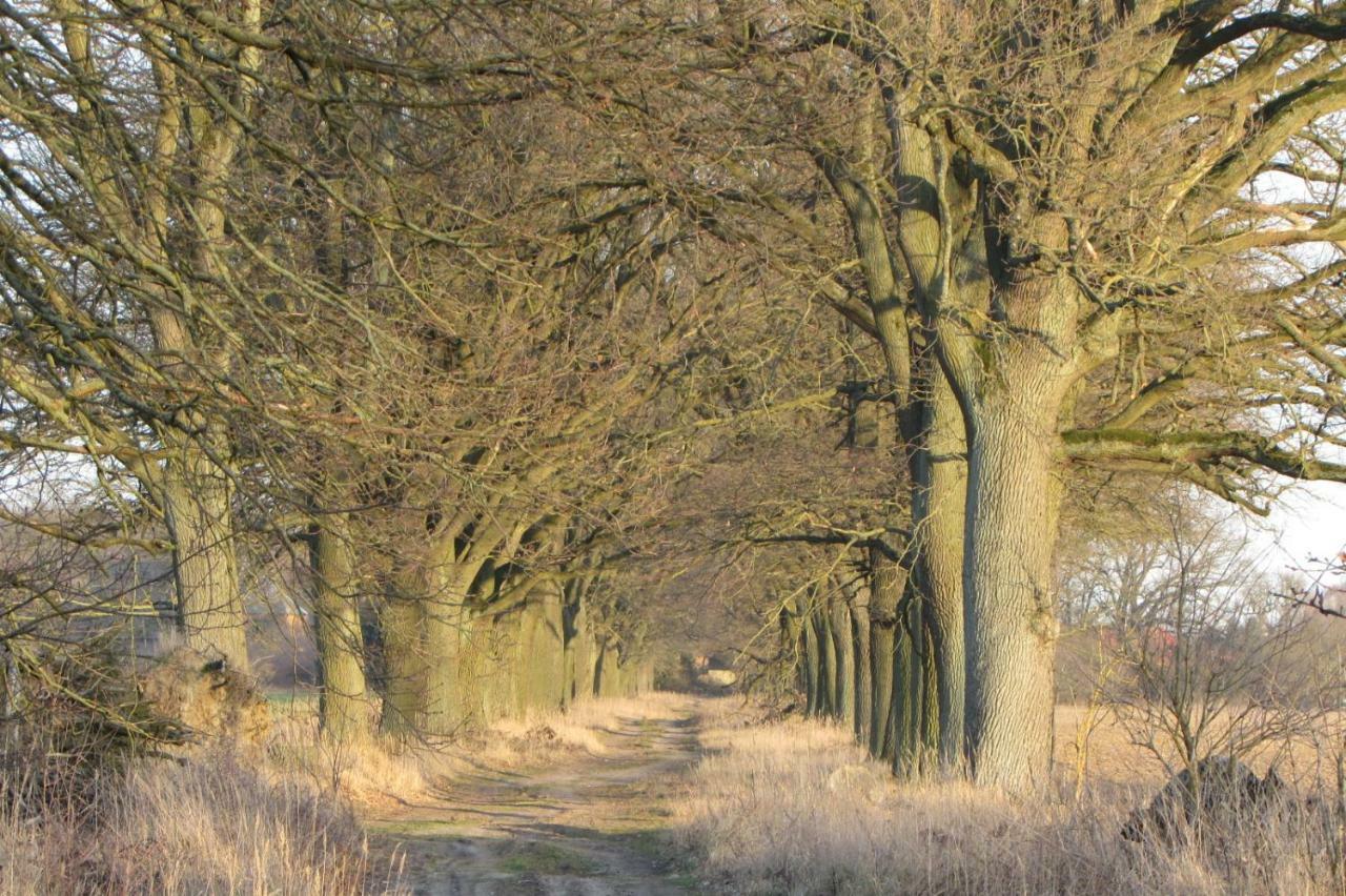 Radlerzimmer Strasen 外观 照片